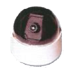 Zestron Dome Camera